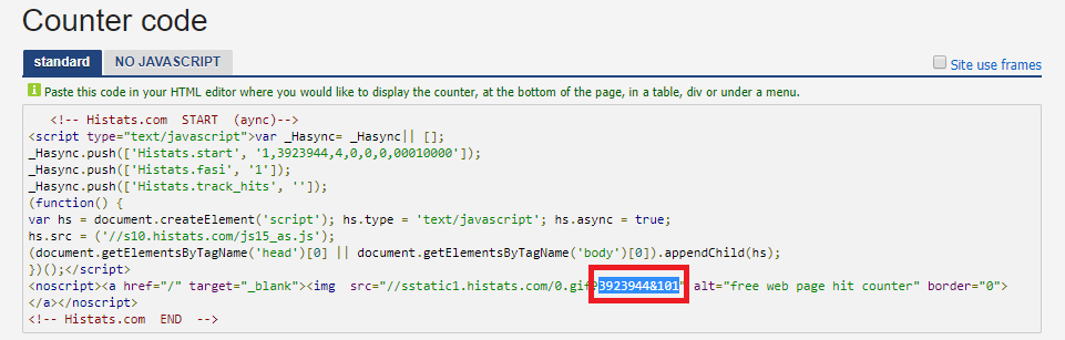 Memasang Histats di AMP WordPress